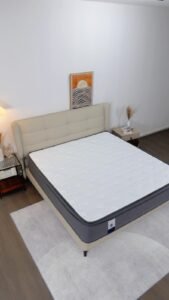 Dream Nest Mattress